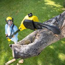 Best Aeration Services  in Surf City, NC