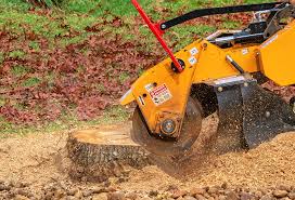 Best Utility Line Clearance  in Surf City, NC